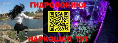 спайс Партизанск