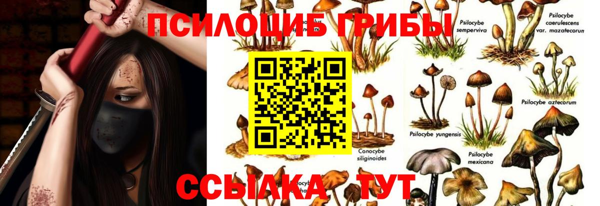 Реутов  Псилоцибиновые грибы Magic Shrooms  Вход с VPN 
